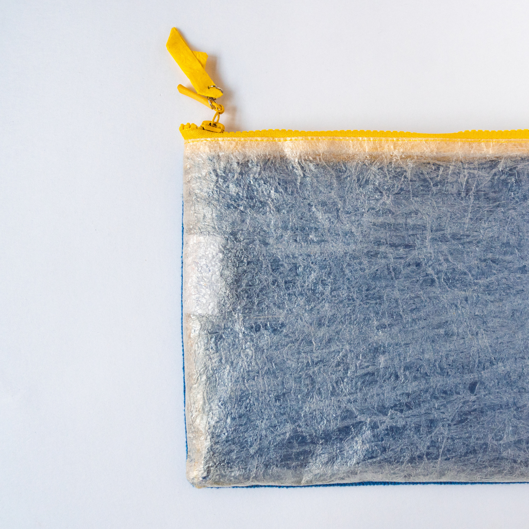 Blue Transparent Pouch