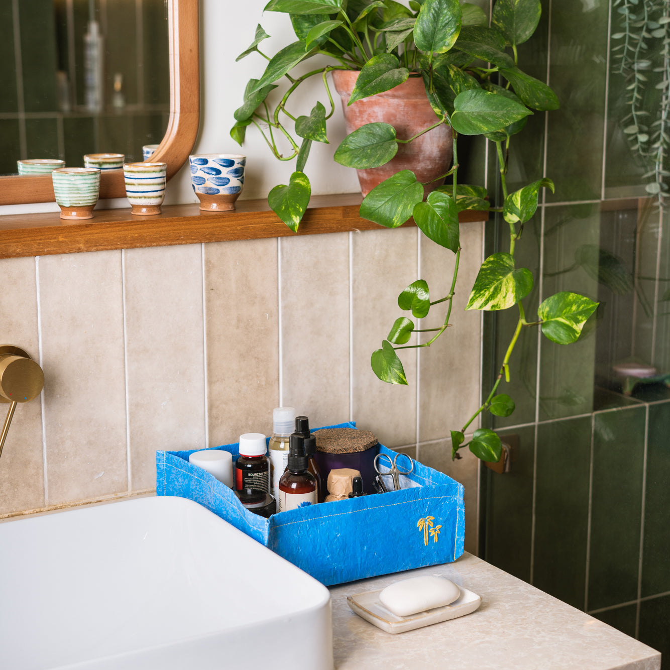 Blue Horizontal Organizer